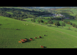 Aerial drone filming of farms and agriculture