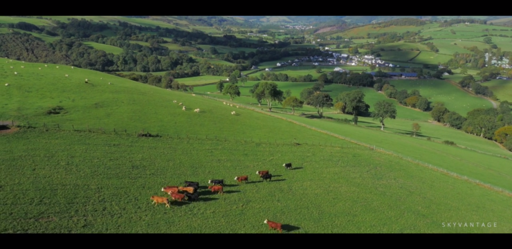 Aerial drone filming of farms and agriculture