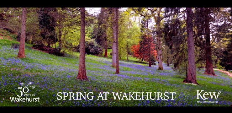 Kew Gardens – Wakehurst aerial drone film Spring 2015